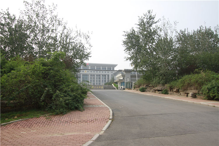 山东省武警中队